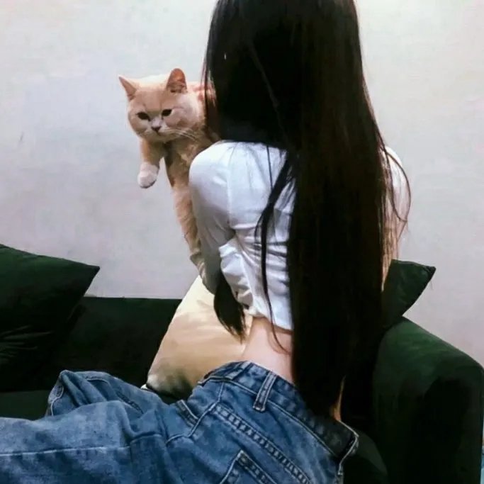 东游记
