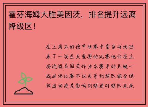 霍芬海姆大胜美因茨，排名提升远离降级区！