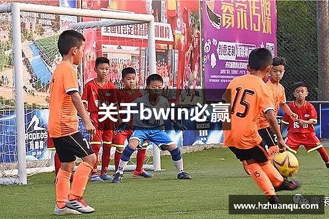关于bwin必赢
